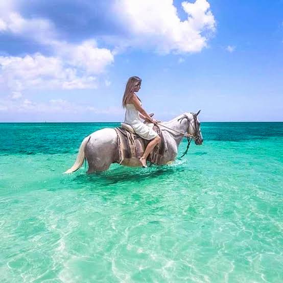 2 hours Horse Riding 1H on The sea And 1H in Desert From Hurghada